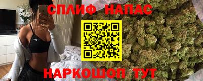стаф Бузулук