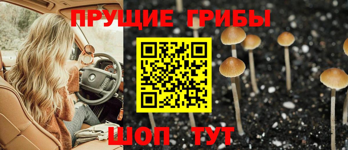 Кстово  магазин  наркотиков  Вход с VPN  Галлюциногенные грибы ЛСД 