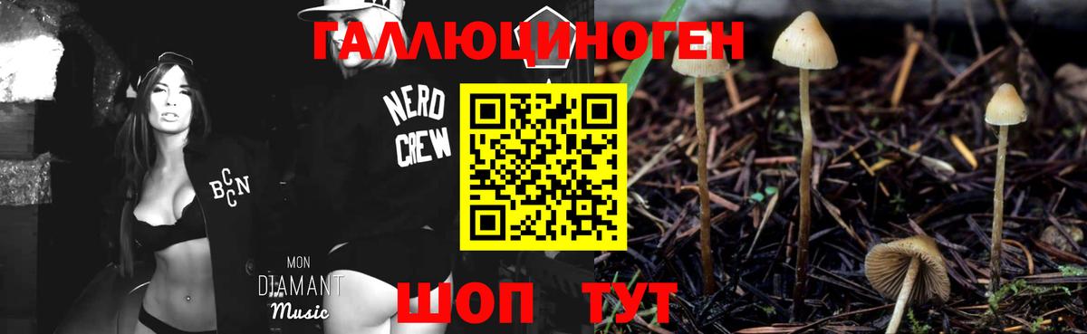 Псилоцибиновые грибы мицелий Кстово